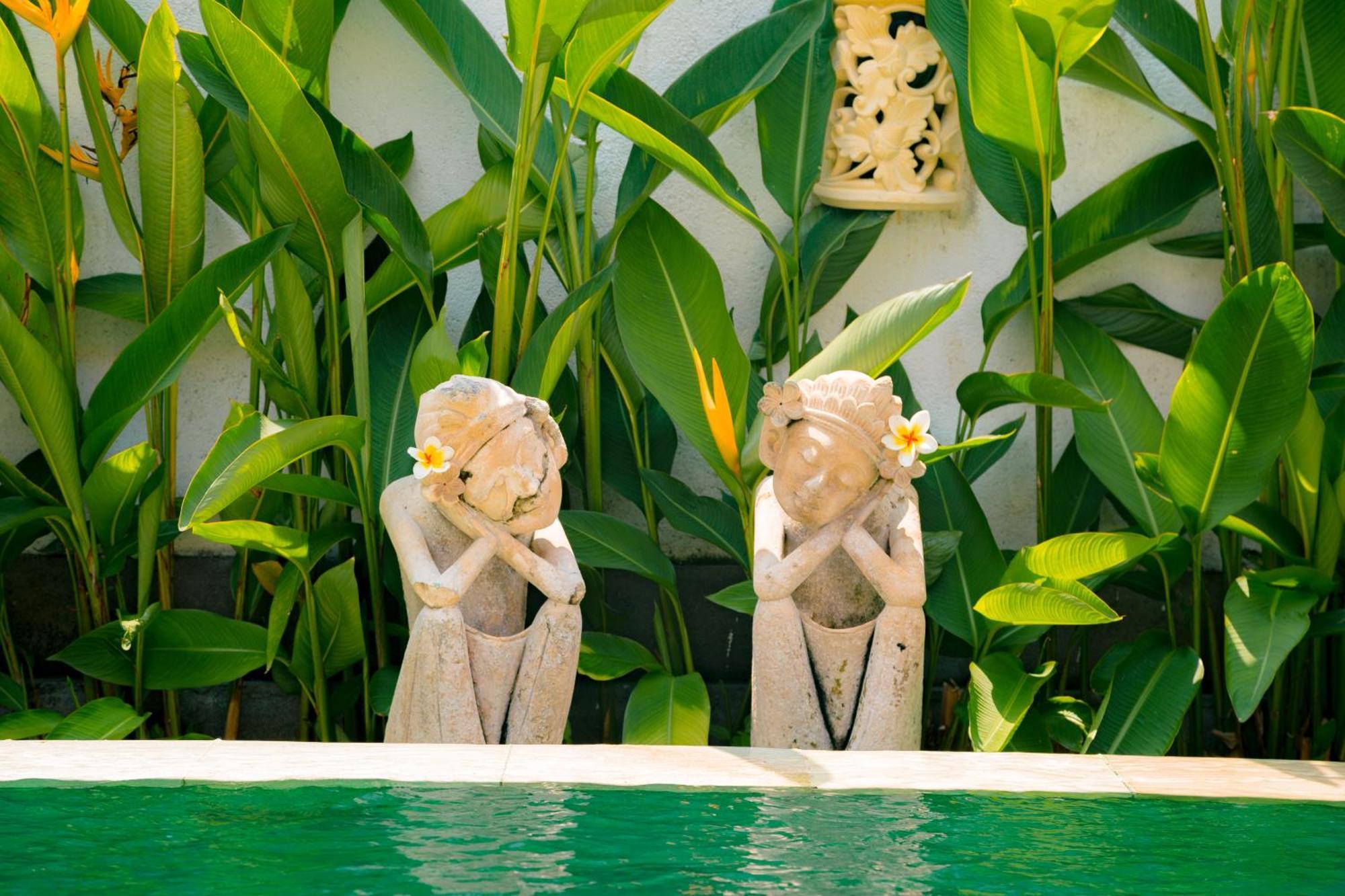 Villa Seruni Lovina 외부 사진